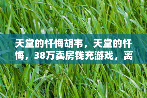天堂的忏悔胡韦,天堂的忏悔,38万卖房钱充游戏,离婚协议背后藏着惊人隐情! 天堂的忏悔胡韦,天堂的忏悔,38万卖房钱充游戏,离婚协议背后藏着惊人隐情!