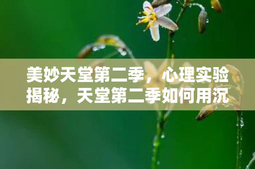 美妙天堂第二季,心理实验揭秘,天堂第二季如何用沉迷陷阱操控大脑,细思极恐! 美妙天堂第二季,心理实验揭秘,天堂第二季如何用沉迷陷阱操控大脑,细思极恐!