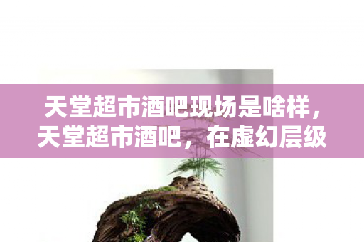 天堂超市酒吧现场是啥样，天堂超市酒吧，在虚幻层级中叩问自由悖论，灵魂震颤的命运之舞
