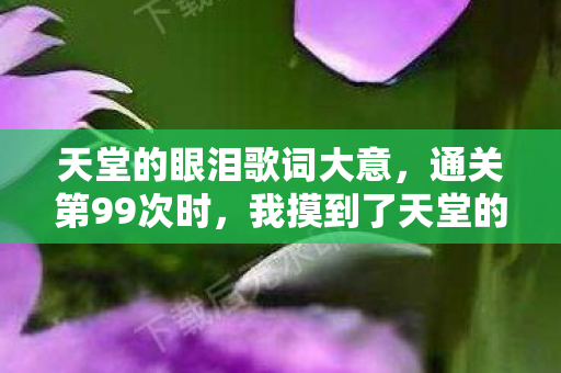 天堂的眼泪歌词大意,通关第99次时,我摸到了天堂的眼泪——当0.03%玩家卡关的真相,是AI在哭? 天堂的眼泪歌词大意,通关第99次时,我摸到了天堂的眼泪——当0.03%玩家卡关的真相,是AI在哭?