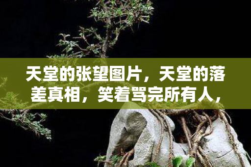 天堂的张望图片,天堂的落差真相,笑着骂完所有人,最后笑着笑着竟哭了! 天堂的张望图片,天堂的落差真相,笑着骂完所有人,最后笑着笑着竟哭了!