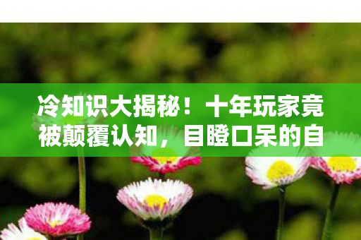 冷知识大揭秘！十年玩家竟被颠覆认知，目瞪口呆的自我处刑现场
