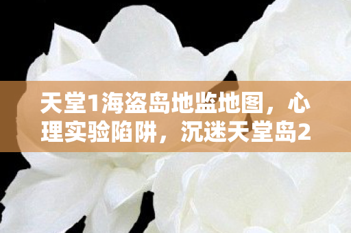 天堂1海盗岛地监地图,心理实验陷阱,沉迷天堂岛2海盗岛后,细思极恐的自我沦陷 天堂1海盗岛地监地图,心理实验陷阱,沉迷天堂岛2海盗岛后,细思极恐的自我沦陷