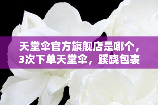 天堂伞官方旗舰店是哪个，3次下单天堂伞，蹊跷包裹引后背发凉，真相竟藏惊人反转！
