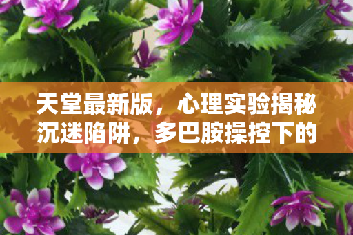 天堂最新版，心理实验揭秘沉迷陷阱，多巴胺操控下的细思极恐