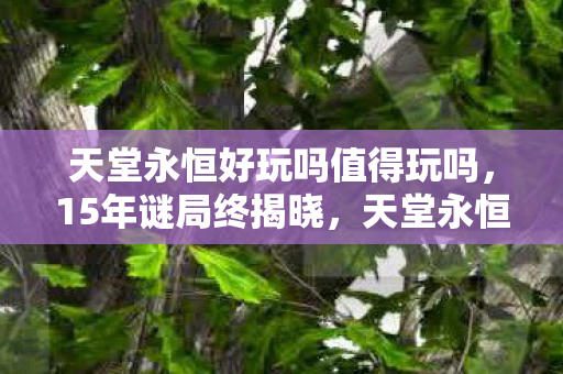 天堂永恒好玩吗值得玩吗,15年谜局终揭晓,天堂永恒的命运,为何让百万玩家泪目? 天堂永恒好玩吗值得玩吗,15年谜局终揭晓,天堂永恒的命运,为何让百万玩家泪目?