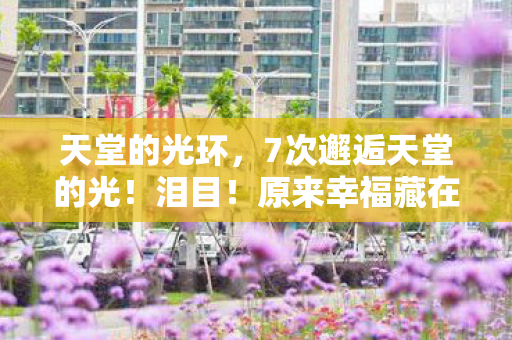 天堂的光环,7次邂逅天堂的光!泪目!原来幸福藏在这些瞬间里 天堂的光环,7次邂逅天堂的光!泪目!原来幸福藏在这些瞬间里