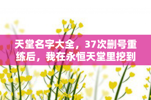 天堂名字大全，37次删号重练后，我在永恒天堂里挖到了2027年最痛的真相