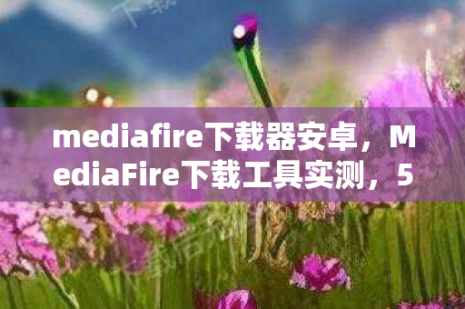 mediafire下载器安卓,MediaFire下载工具实测,5大心得+避坑指南,效率飙升秘籍! mediafire下载器安卓,MediaFire下载工具实测,5大心得+避坑指南,效率飙升秘籍!