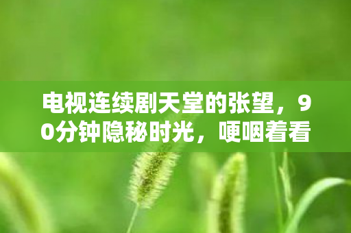 电视连续剧天堂的张望,90分钟隐秘时光,哽咽着看完了天堂的张望完整版 电视连续剧天堂的张望,90分钟隐秘时光,哽咽着看完了天堂的张望完整版