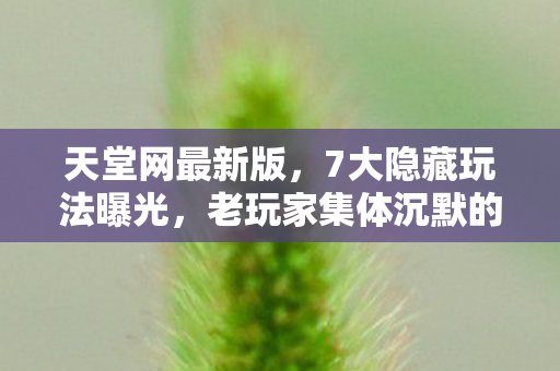 天堂网最新版,7大隐藏玩法曝光,老玩家集体沉默的真相竟是…… 天堂网最新版,7大隐藏玩法曝光,老玩家集体沉默的真相竟是……