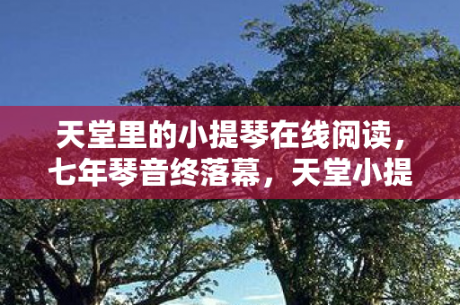 天堂里的小提琴在线阅读，七年琴音终落幕，天堂小提琴之谜，泪目见证兴衰路