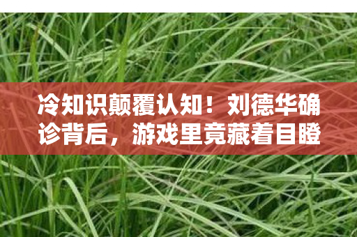 冷知识颠覆认知!刘德华确诊背后,游戏里竟藏着目瞪口呆的秘密 冷知识颠覆认知!刘德华确诊背后,游戏里竟藏着目瞪口呆的秘密