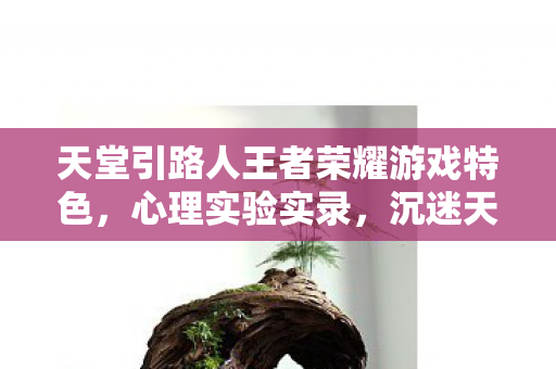 天堂引路人王者荣耀游戏特色,心理实验实录,沉迷天堂引路人的细思极恐自我麻醉剂量 天堂引路人王者荣耀游戏特色,心理实验实录,沉迷天堂引路人的细思极恐自我麻醉剂量