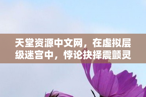 天堂资源中文网，在虚拟层级迷宫中，悖论抉择震颤灵魂自由之弦