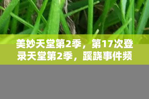美妙天堂第2季,第17次登录天堂第2季,蹊跷事件频发,后背发凉真相渐显 美妙天堂第2季,第17次登录天堂第2季,蹊跷事件频发,后背发凉真相渐显