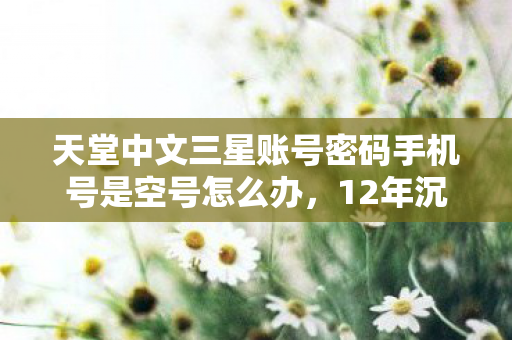 天堂中文三星账号密码手机号是空号怎么办,12年沉浮录,天堂中文的谜面,为何让百万玩家泪目? 天堂中文三星账号密码手机号是空号怎么办,12年沉浮录,天堂中文的谜面,为何让百万玩家泪目?