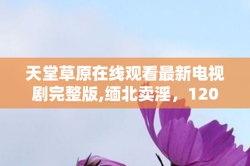 天堂草原在线观看最新电视剧完整版,缅北卖淫，120分钟揭秘，天堂草原的幻灭与重生，泪目真相终现