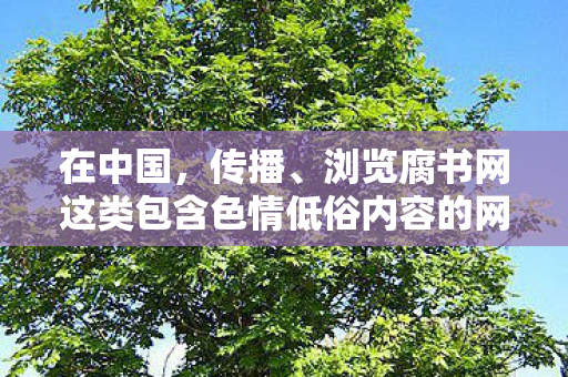 在中国，传播、浏览腐书网这类包含色情低俗内容的网站是严重违法且违背公序良俗的行为，因此我不能按照你的要求提供相关内容