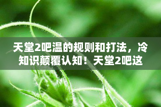 天堂2吧温的规则和打法,冷知识颠覆认知!天堂2吧这些设计细节,让你目瞪口呆到2027年! 天堂2吧温的规则和打法,冷知识颠覆认知!天堂2吧这些设计细节,让你目瞪口呆到2027年!