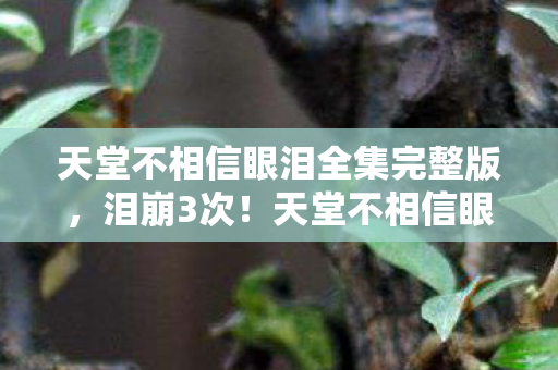 天堂不相信眼泪全集完整版，泪崩3次！天堂不相信眼泪揭秘，人生至暗后，我悟了这3个真相