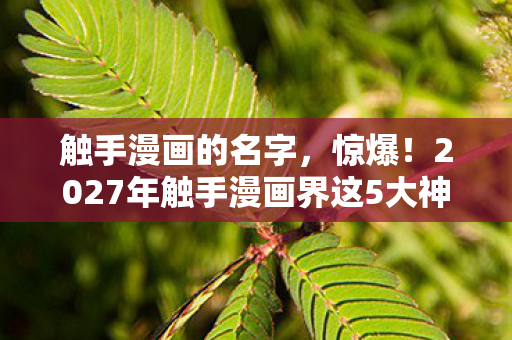 触手漫画的名字，惊爆！2027年触手漫画界这5大神作，为何让百万读者集体泪崩？