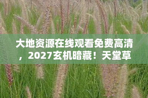 大地资源在线观看免费高清，2027玄机暗藏！天堂草原追剧软件，沉默背后藏着什么人生密码？