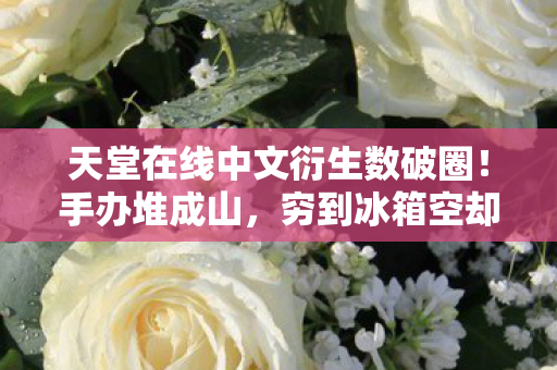 天堂在线中文衍生数破圈！手办堆成山，穷到冰箱空却超值！