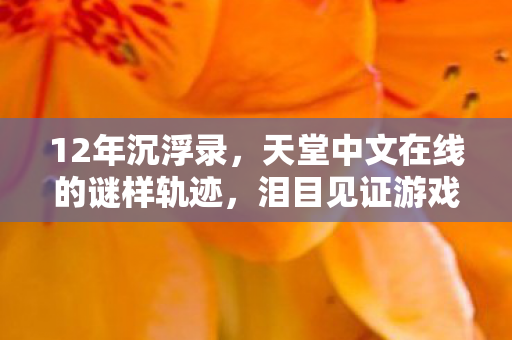 12年沉浮录，天堂中文在线的谜样轨迹，泪目见证游戏兴衰