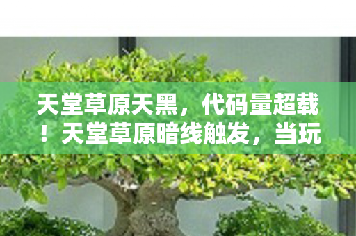 天堂草原天黑，代码量超载！天堂草原暗线触发，当玩家意识开始头皮发麻的量子跃迁