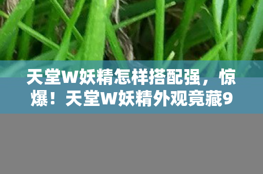 天堂W妖精怎样搭配强,惊爆!天堂W妖精外观竟藏99%玩家不知的属性玄机?真相颠覆认知! 天堂W妖精怎样搭配强,惊爆!天堂W妖精外观竟藏99%玩家不知的属性玄机?真相颠覆认知!