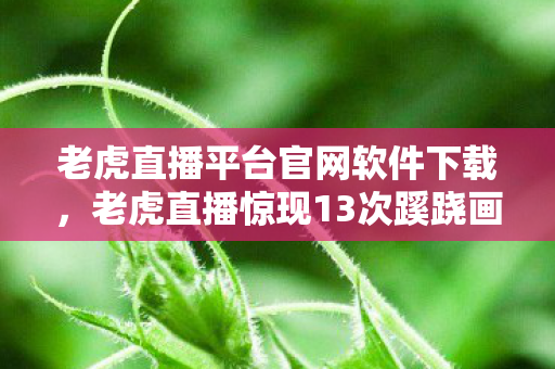 老虎直播平台官网软件下载，老虎直播惊现13次蹊跷画面，真相揭晓瞬间让人后背发凉！