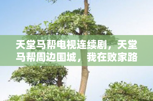 天堂马帮电视连续剧，天堂马帮周边围城，我在败家路上一去不返
