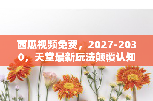 西瓜视频免费，2027-2030，天堂最新玩法颠覆认知！老玩家亲历的震撼真相