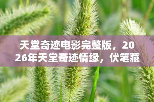 天堂奇迹电影完整版，2026年天堂奇迹情缘，伏笔藏三年，凌晨聊天记录让我鼻子一酸