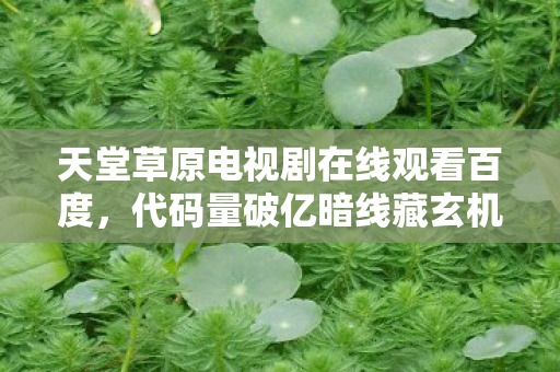 天堂草原电视剧在线观看百度，代码量破亿暗线藏玄机，天堂草原指挥官的头皮发麻逆袭路