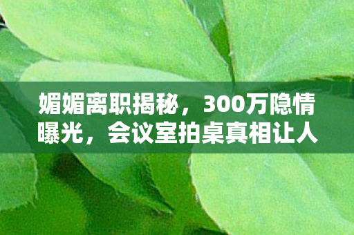 媚媚离职揭秘,300万隐情曝光,会议室拍桌真相让人吓一跳! 媚媚离职揭秘,300万隐情曝光,会议室拍桌真相让人吓一跳!