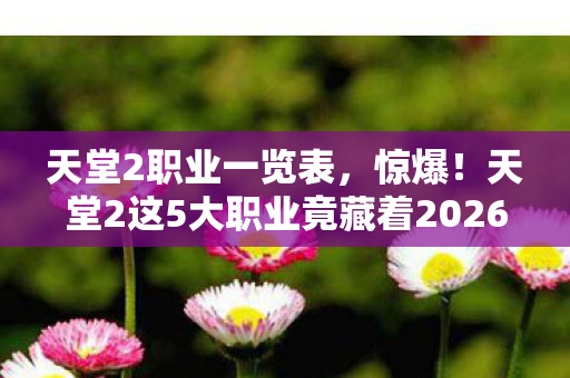 天堂2职业一览表，惊爆！天堂2这5大职业竟藏着2026年最强逆袭密码？