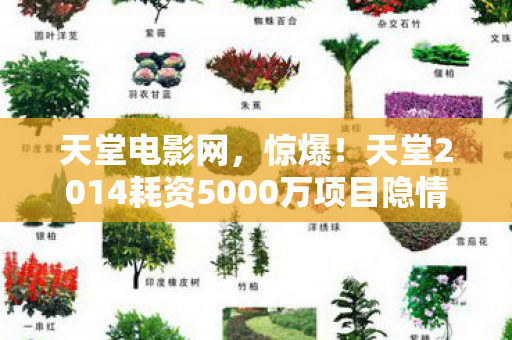 天堂电影网，惊爆！天堂2014耗资5000万项目隐情曝光，真相让人吓一跳！