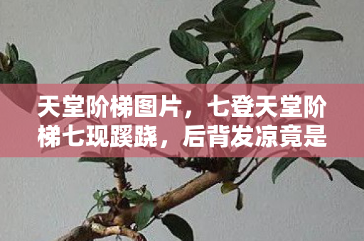 天堂阶梯图片，七登天堂阶梯七现蹊跷，后背发凉竟是现实在追逃