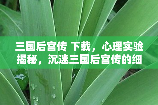 三国后宫传 下载，心理实验揭秘，沉迷三国后宫传的细思极恐多巴胺陷阱