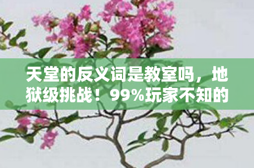 天堂的反义词是教室吗，地狱级挑战！99%玩家不知的3大隐藏机制，通关即封神！
