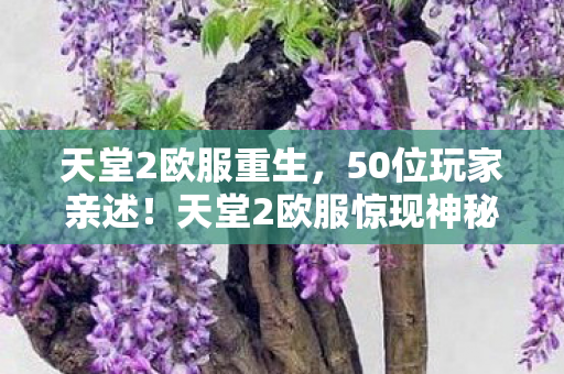 天堂2欧服重生，50位玩家亲述！天堂2欧服惊现神秘疑点，这操作谁绷得住啊？