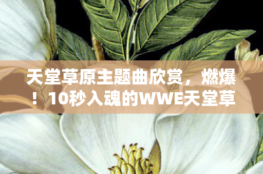 天堂草原主题曲欣赏，燃爆！10秒入魂的WWE天堂草原神曲，听后热血沸腾到天明！