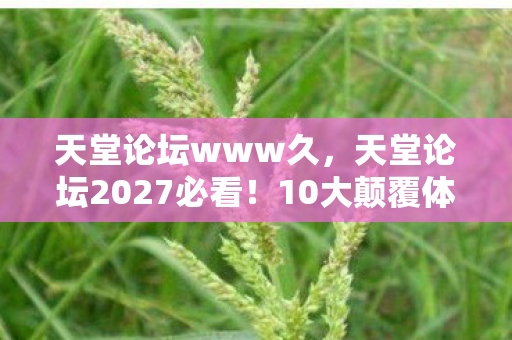天堂论坛www久，天堂论坛2027必看！10大颠覆体验心得，错过再等十年！