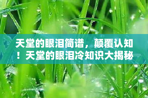 天堂的眼泪简谱，颠覆认知！天堂的眼泪冷知识大揭秘，真相让你目瞪口呆！