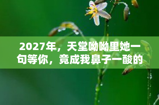 2027年，天堂呦呦里她一句等你，竟成我鼻子一酸的三年伏笔