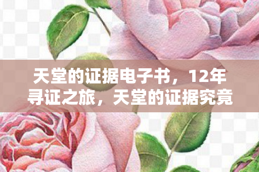 天堂的证据电子书，12年寻证之旅，天堂的证据究竟藏于何处？泪目真相即将揭晓