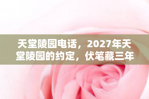 天堂陵园电话，2027年天堂陵园的约定，伏笔藏三年，凌晨聊天记录让我鼻子一酸
