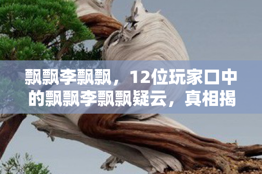 飘飘李飘飘,12位玩家口中的飘飘李飘飘疑云,真相揭晓时我直接绷不住了! 飘飘李飘飘,12位玩家口中的飘飘李飘飘疑云,真相揭晓时我直接绷不住了!